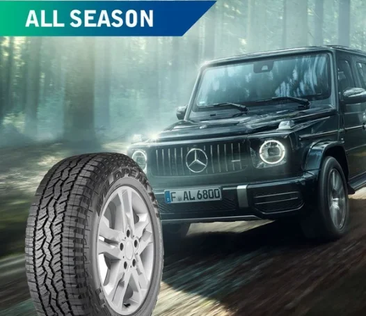 ALL-SEASON-e1782204806636.webp